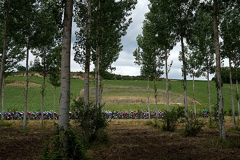 The pack rides during Tour de France cycling race 2024 stage 13